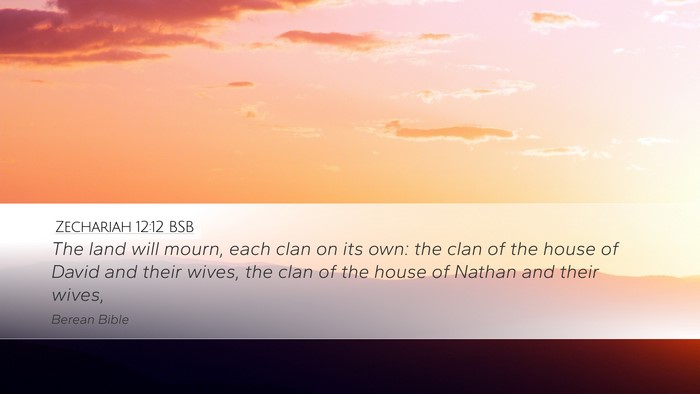 Zechariah 12:12 BSB Bible Verse Image
