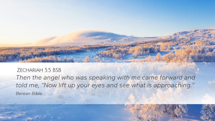 Zechariah 5:5 BSB Bible Verse Image