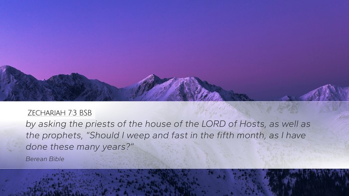 Zechariah 7:3 BSB Bible Verse Image