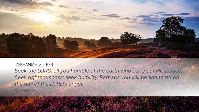 Zephaniah 2:3 BSB Bible Verse Image