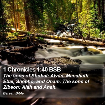 1 Chronicles 1:40 BSB Bible Verse Image