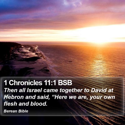 1 Chronicles 11:1 BSB Bible Verse Image