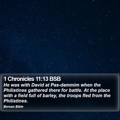 1 Chronicles 11:13 BSB Bible Verse Image