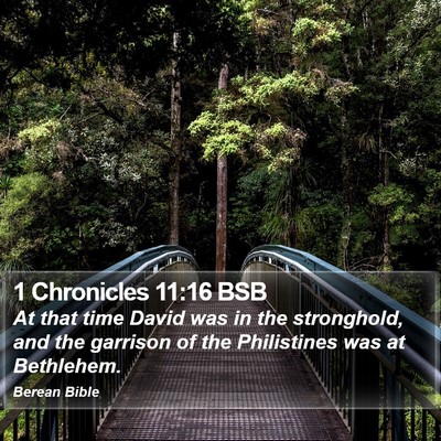 1 Chronicles 11:16 BSB Bible Verse Image