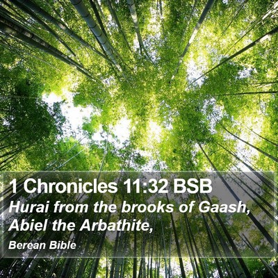 1 Chronicles 11:32 BSB Bible Verse Image