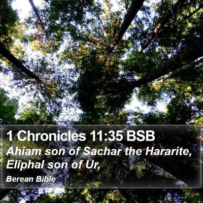1 Chronicles 11:35 BSB Bible Verse Image