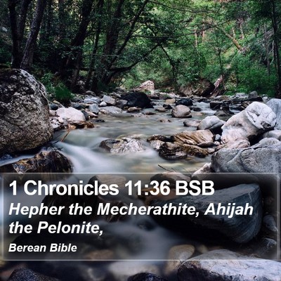 1 Chronicles 11:36 BSB Bible Verse Image