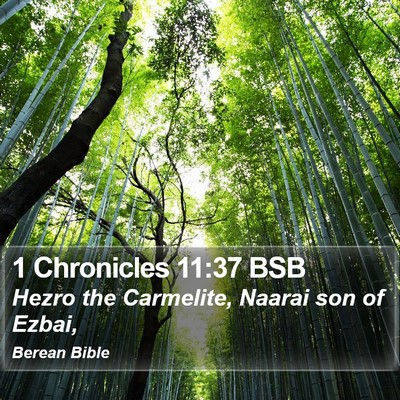 1 Chronicles 11:37 BSB Bible Verse Image