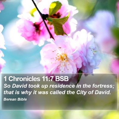1 Chronicles 11:7 BSB Bible Verse Image
