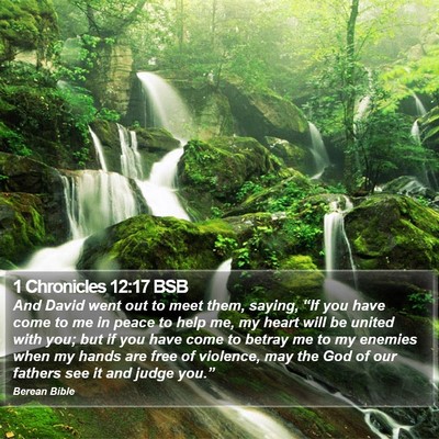 1 Chronicles 12:17 BSB Bible Verse Image