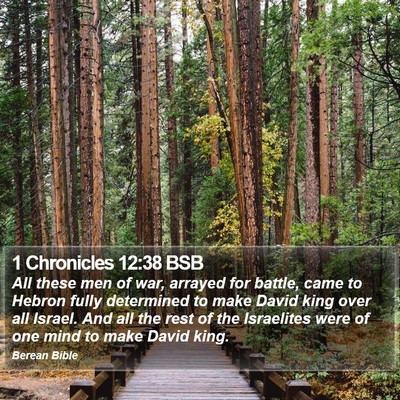 1 Chronicles 12:38 BSB Bible Verse Image