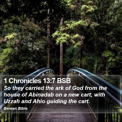 1 Chronicles 13:7 BSB Bible Verse Image
