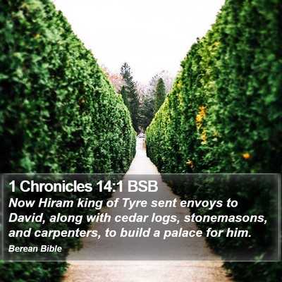 1 Chronicles 14:1 BSB Bible Verse Image