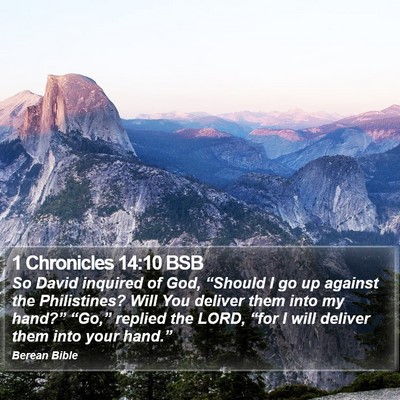 1 Chronicles 14:10 BSB Bible Verse Image