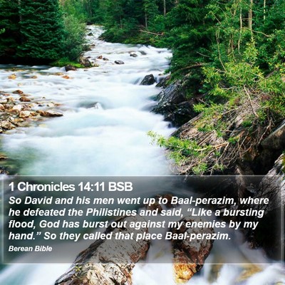 1 Chronicles 14:11 BSB Bible Verse Image