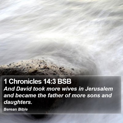 1 Chronicles 14:3 BSB Bible Verse Image