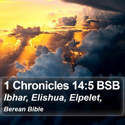1 Chronicles 14:5 BSB Bible Verse Image