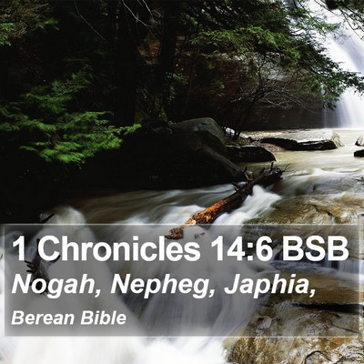 1 Chronicles 14:6 BSB Bible Verse Image