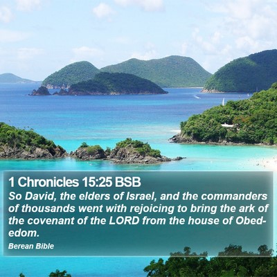 1 Chronicles 15:25 BSB Bible Verse Image