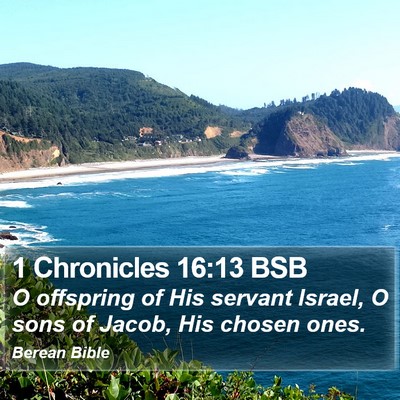 1 Chronicles 16:13 BSB Bible Verse Image