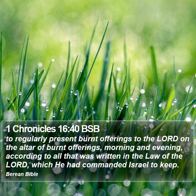 1 Chronicles 16:40 BSB Bible Verse Image