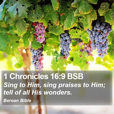 1 Chronicles 16:9 BSB Bible Verse Image
