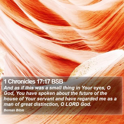 1 Chronicles 17:17 BSB Bible Verse Image