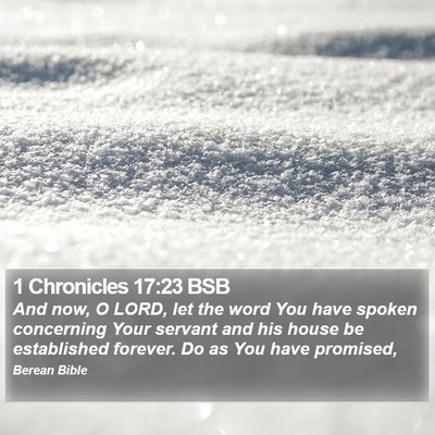 1 Chronicles 17:23 BSB Bible Verse Image
