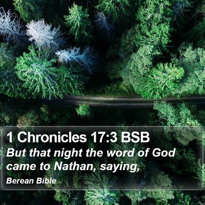 1 Chronicles 17:3 BSB Bible Verse Image