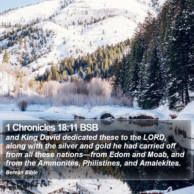 1 Chronicles 18:11 BSB Bible Verse Image