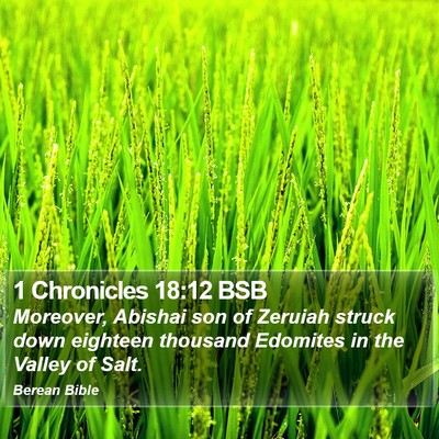 1 Chronicles 18:12 BSB Bible Verse Image