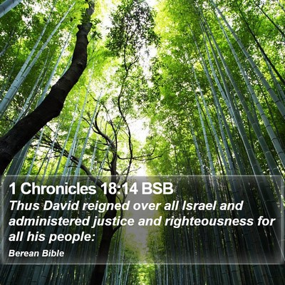 1 Chronicles 18:14 BSB Bible Verse Image