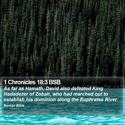 1 Chronicles 18:3 BSB Bible Verse Image