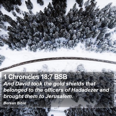 1 Chronicles 18:7 BSB Bible Verse Image