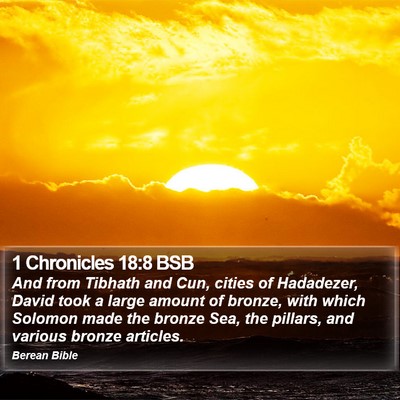 1 Chronicles 18:8 BSB Bible Verse Image
