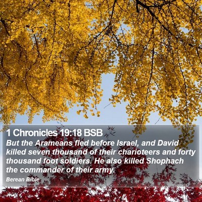 1 Chronicles 19:18 BSB Bible Verse Image