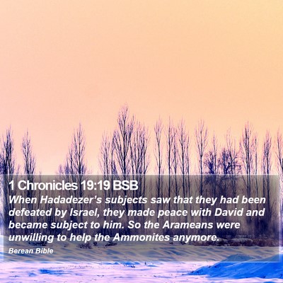 1 Chronicles 19:19 BSB Bible Verse Image