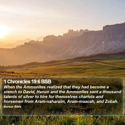1 Chronicles 19:6 BSB Bible Verse Image