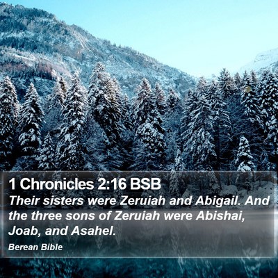 1 Chronicles 2:16 BSB Bible Verse Image