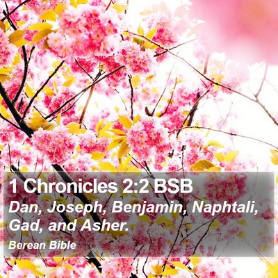 1 Chronicles 2:2 BSB Bible Verse Image