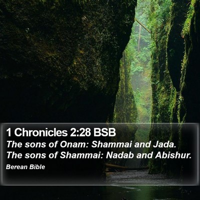 1 Chronicles 2:28 BSB Bible Verse Image