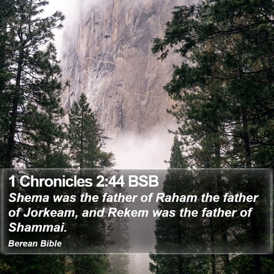 1 Chronicles 2:44 BSB Bible Verse Image