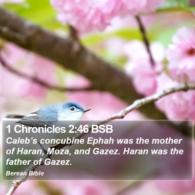 1 Chronicles 2:46 BSB Bible Verse Image