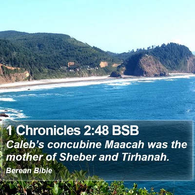 1 Chronicles 2:48 BSB Bible Verse Image