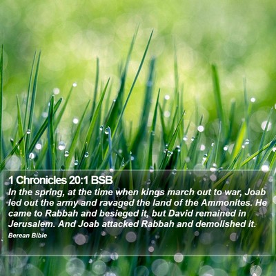 1 Chronicles 20:1 BSB Bible Verse Image