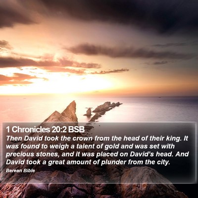 1 Chronicles 20:2 BSB Bible Verse Image
