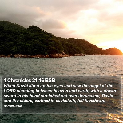 1 Chronicles 21:16 BSB Bible Verse Image