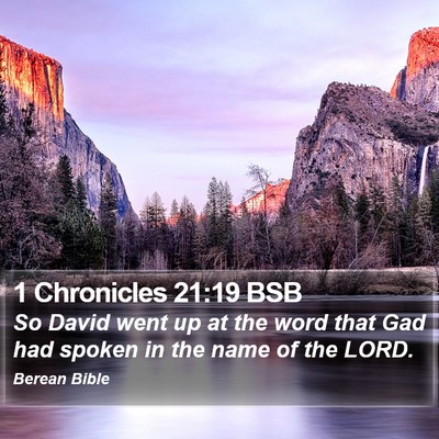 1 Chronicles 21:19 BSB Bible Verse Image