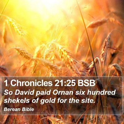 1 Chronicles 21:25 BSB Bible Verse Image