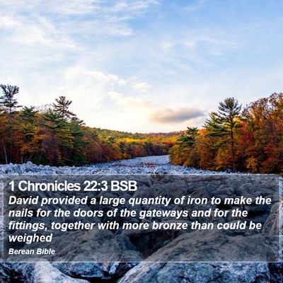 1 Chronicles 22:3 BSB Bible Verse Image